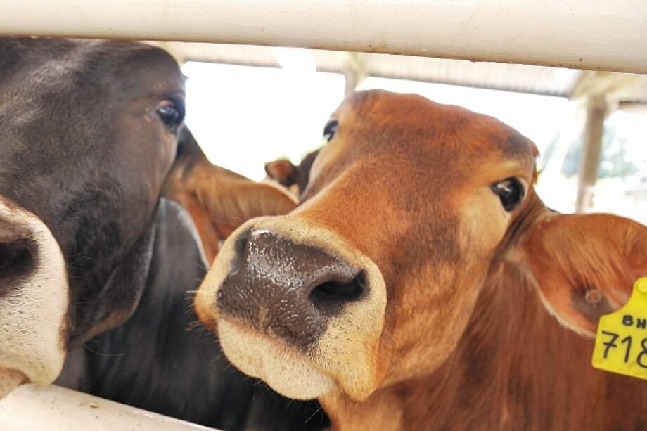 El nuevo administrador del fondo deberá invertir adecuadamente cerca de $69.000 millones. / El Espectador