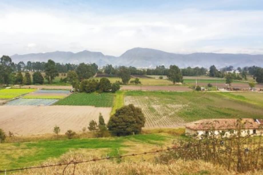 La Reserva Forestal del Norte Thomas van der Hammen cuenta con 1.395 hectáreas de área protegida.