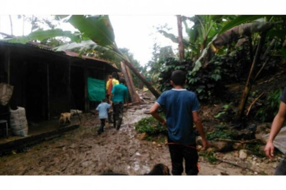 Cortesía Secretaría de Ambiente del Tolima / Cortesía Secretaría de Ambiente del Tolima