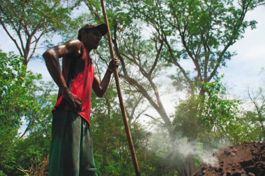 La Unidad de Restitución de Tierras ha recibido alrededor de 122.000 solicitudes. / El Espectador.
