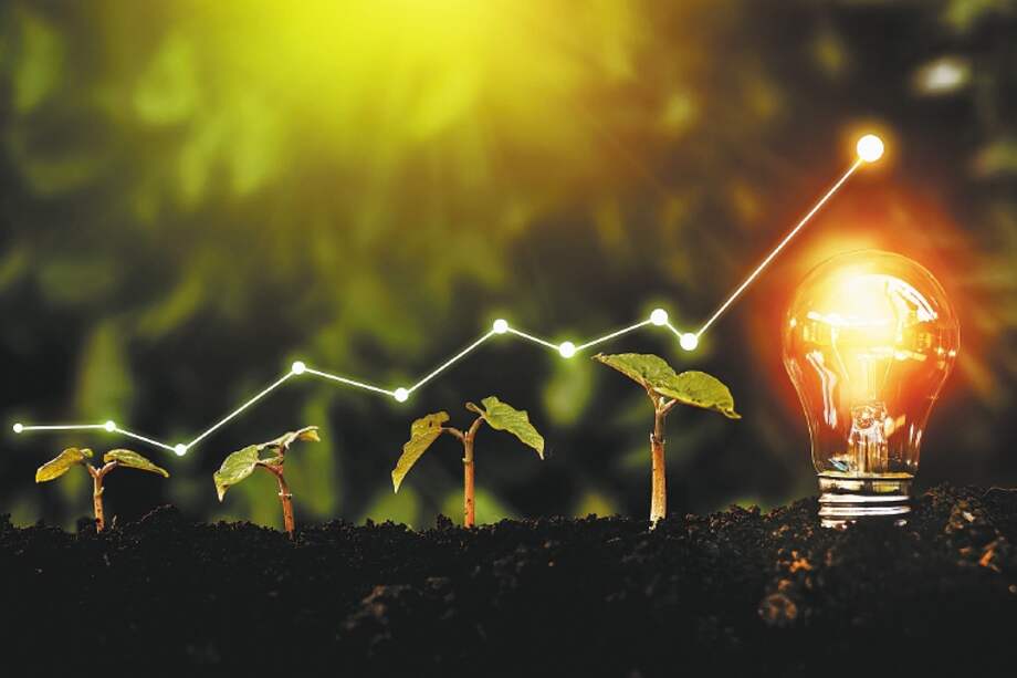 Lightbulb is located on the soil, plant are growing.Renewable energy generation is essential in the future