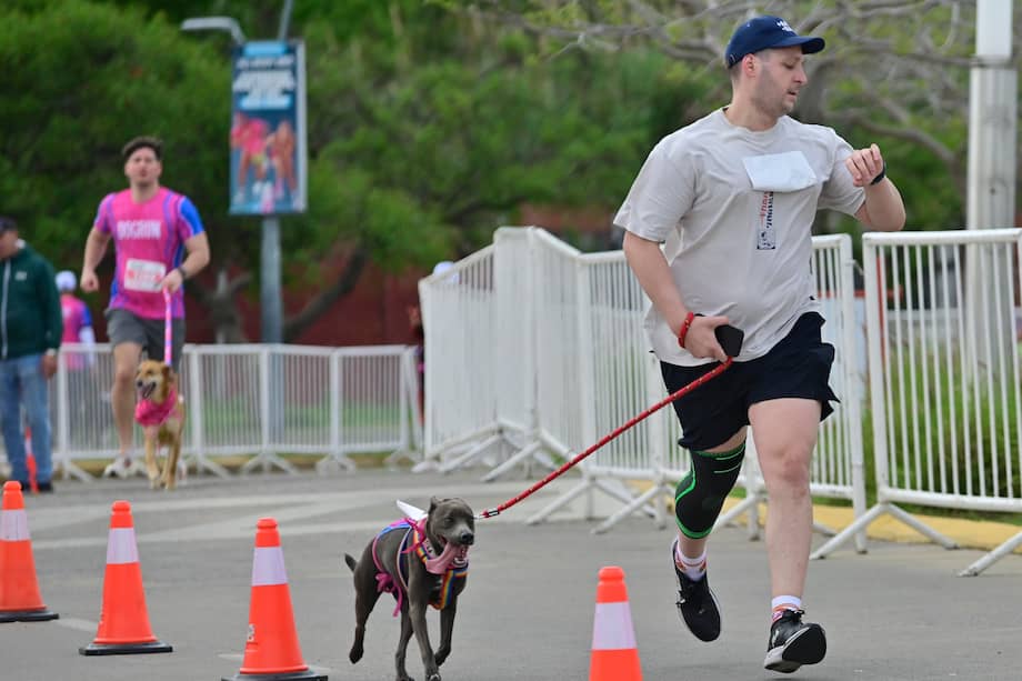 Perros y cuidadores también podrán acceder a servicios básicos de bienestar animal, como corte de uñas y limpieza de oídos, además de una inducción en primeros auxilios veterinarios. EFE/ Matias Martin Campaya