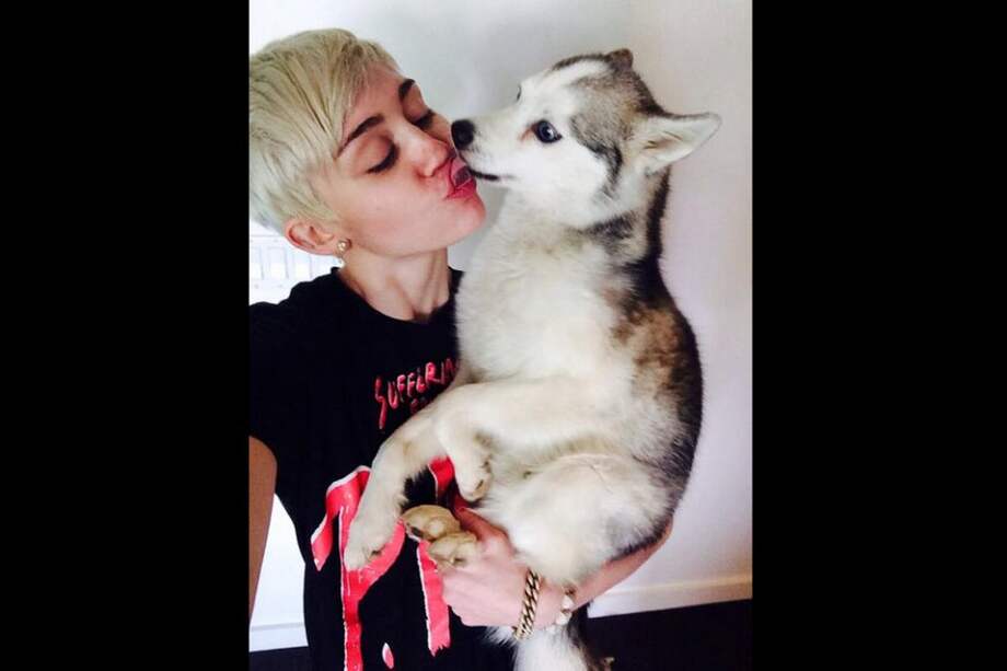 Miley Cyrus vive "el segundo peor día de su vida" por la muerte de su perro
