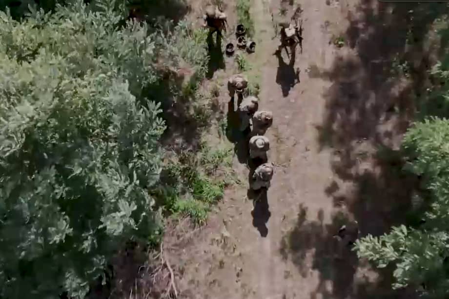 Una imagen fija tomada de un video proporcionado el 14 de agosto de 2024 por el Ministerio de Defensa de Rusia muestra a militares rusos escoltando a prisioneros de guerra ucranianos en un lugar no revelado en la región de Kursk, Rusia.