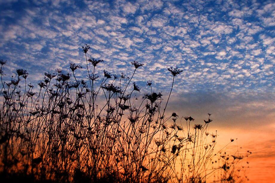 Alinea tus karmas según el color de tu signo