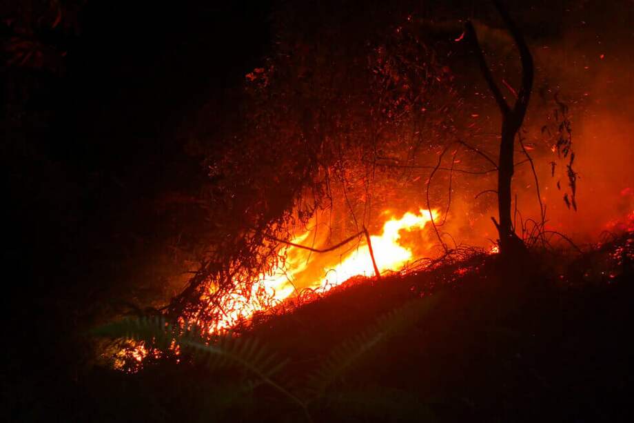 En agosto se han registrado 62 conflagraciones en el Valle del Cauca.
/ Imagen de referencia/ Bomberos de Cali