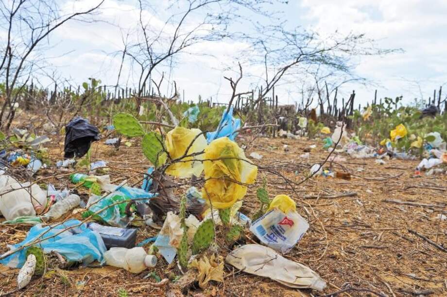 Para el 2021 se quieren prohibir objetos de plástico como pitillos, platos y vasos. / Nelson Sierra