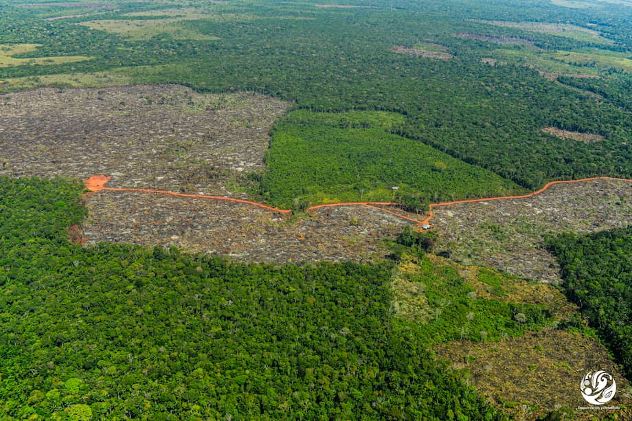 Entre las empresas beneficiadas por los permisos estarían la SF Paim, para explorar en 1.110 hectáreas, y la empresa de ferrys Amazonrios Navegação para buscar oro en 9.676 hectáreas.