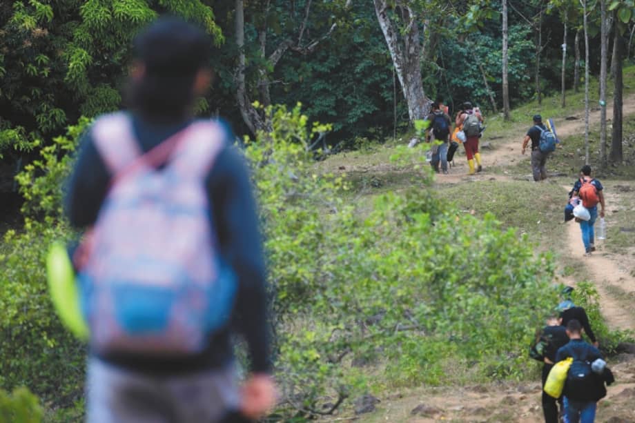 Imagen de uno de los caminos que transitan quienes intentan llegar a Estados Unidos desde el Darién. / Gustavo Torrijos