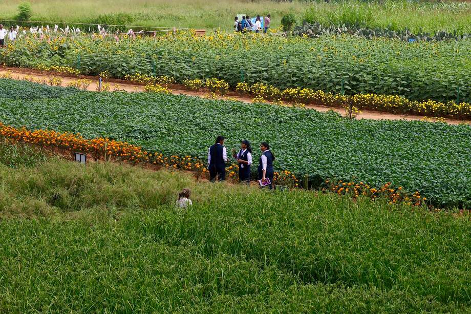 Imagen de referencia.