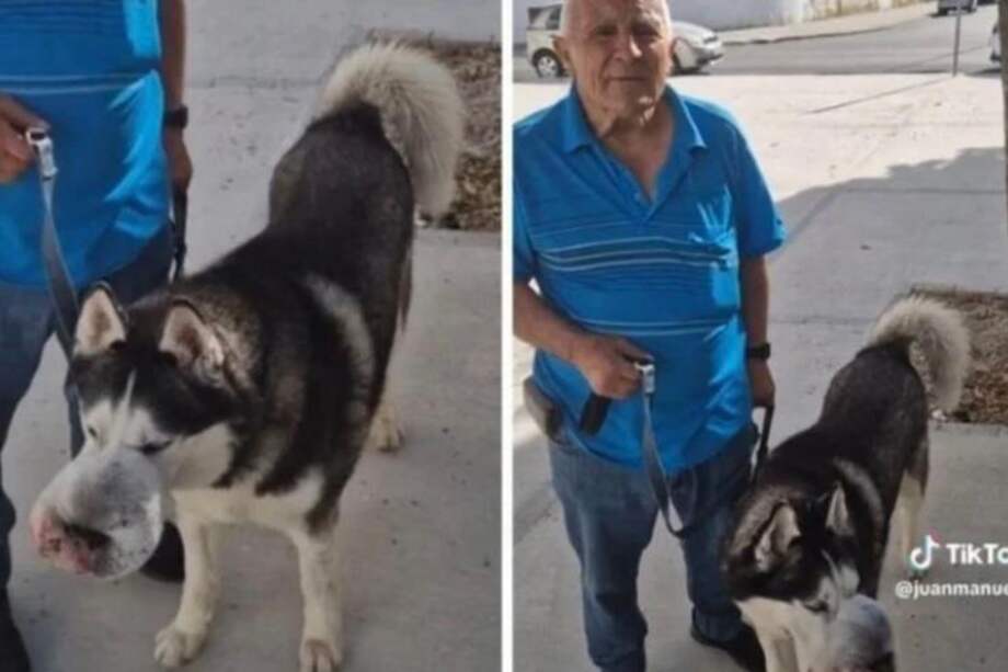 El dueño de Rex, Damián, decidió publicar un vídeo en redes sociales con la esperanza de poder viralizar la historia de su perro y encontrar a algún veterinario que lo pudiera salvar.