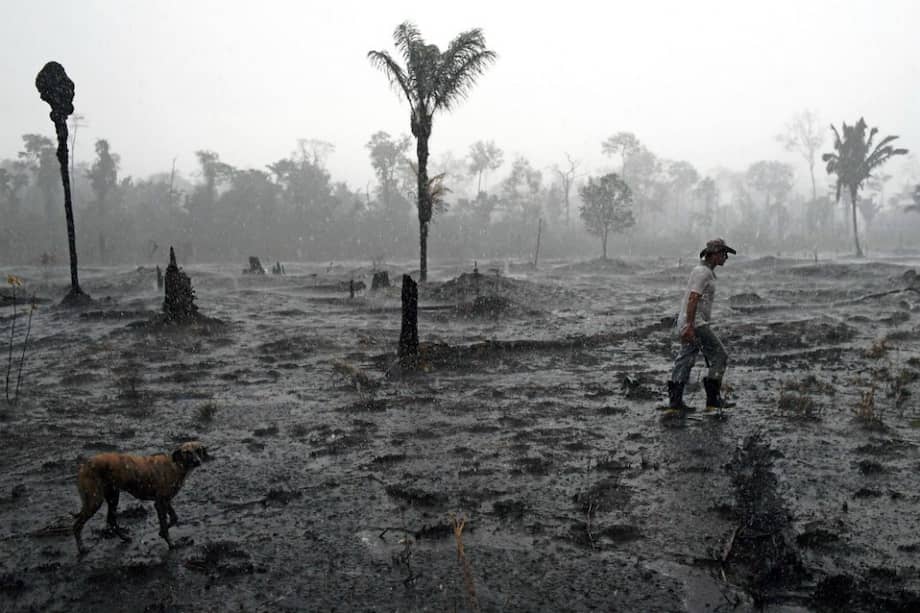 Un campesino cerca de Porto Velho, Brasil.