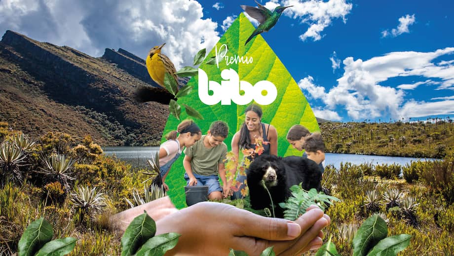 Premio BIBO 2026: conozca a los finalistas de las mejores iniciativas ambientales del país