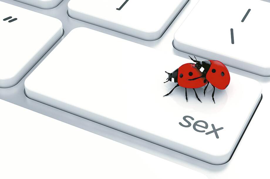 Porno, ¿nos hace más tontos?