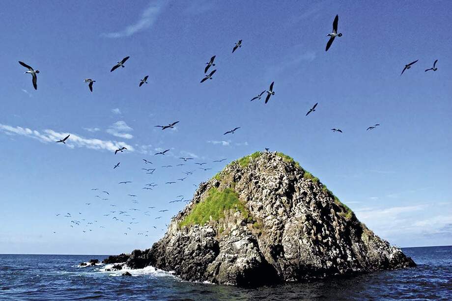 Paraíso Virgen / Flickr: whl.travel