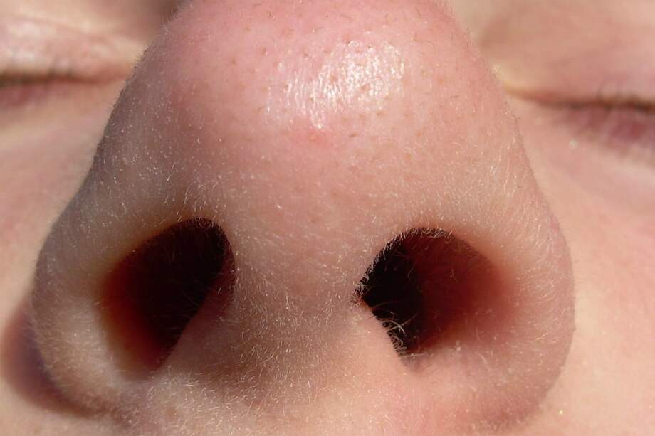 El estudio fue hecho por investigadores de Estados Unidos, Irlanda y Bélgica. / Flickr