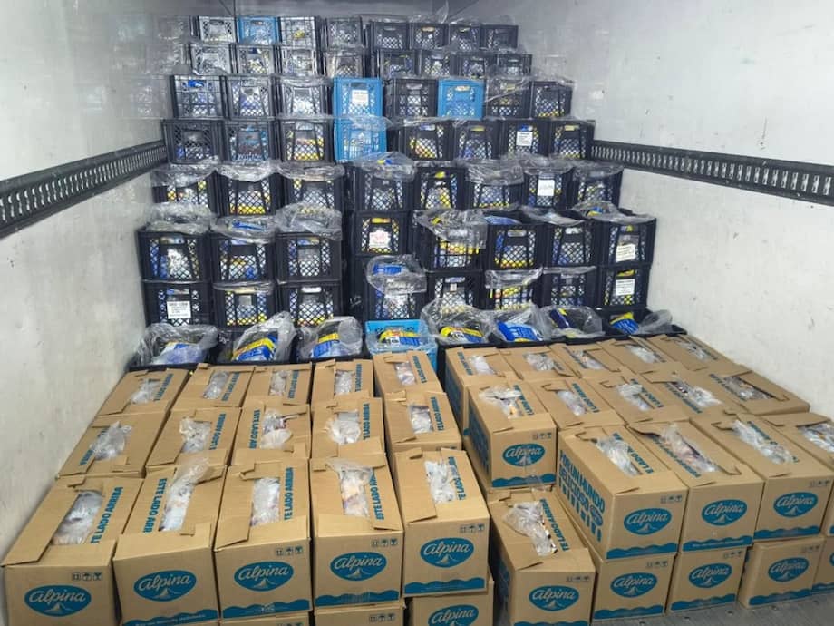 Grupo Alpina moviliza recursos y capacidades para atender la emergencia en Colombia