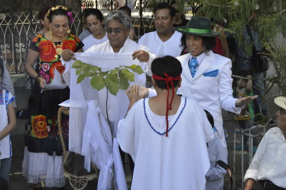 Ecologista se casa simbólicamente con milenario Árbol del Tule en México