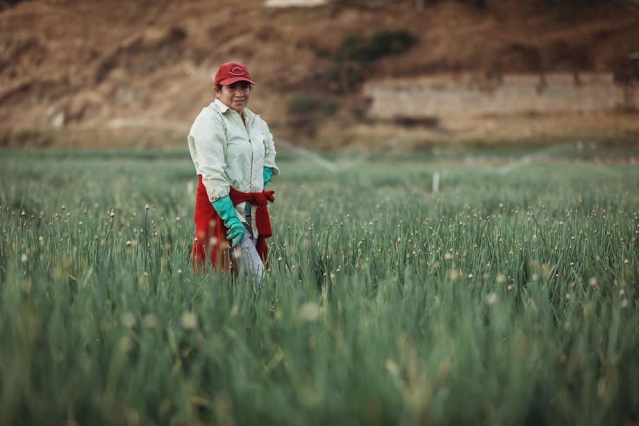 Las inscripciones estarán abiertas hasta el 21 de noviembre de 2025.