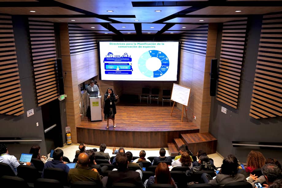 Reuniones previas a la actualización del Programa Nacional de Conservación de los Felinos Silvestres en Colombia.