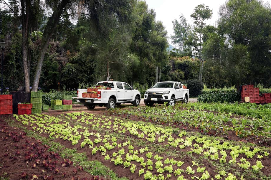 Nuevo programa “Fleet Services”