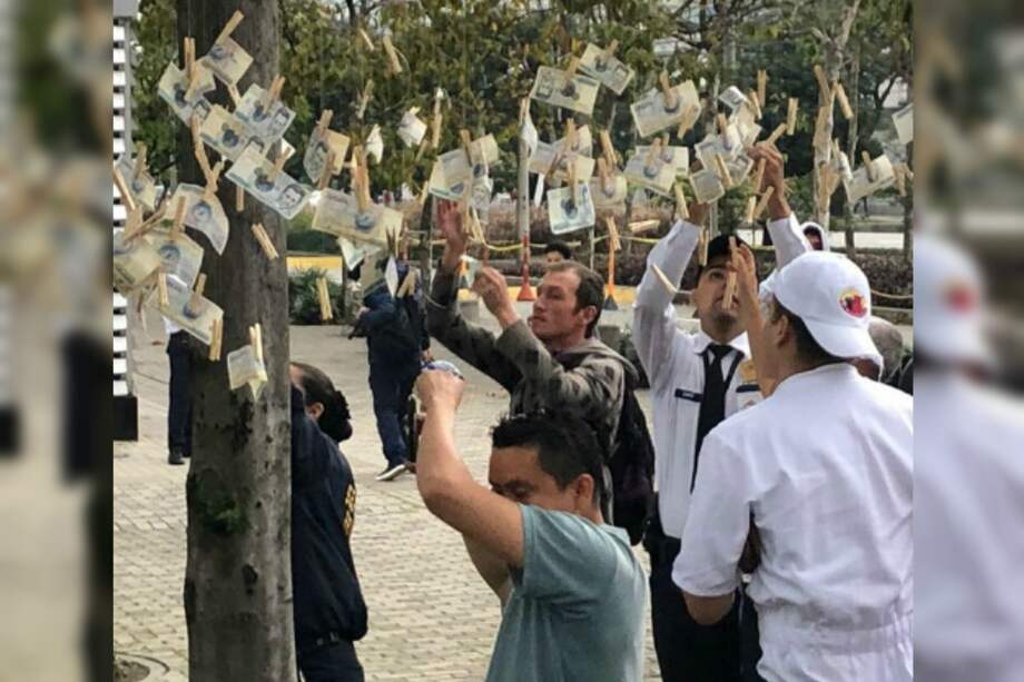 ¿Qué hubo detrás de los árboles de billetes? El misterio está resuelto