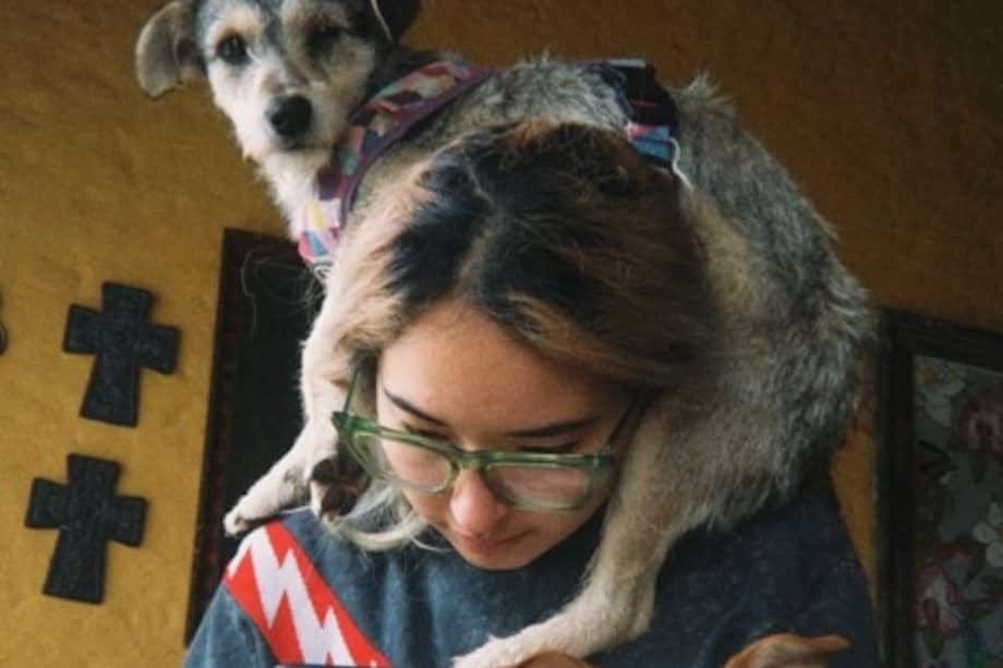 Mientras avanza el proceso de recuperar la cuenta, la fundación pidió apoyo a la ciudadanía para continuar con su labor a través de su perfil alterno @rex.adopciones