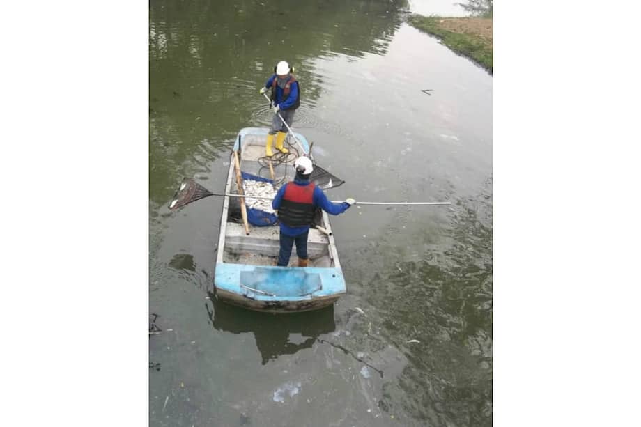 Los pescadores se han visto afectados pues su principal sustento depende de esta actividad. / Cortesía.