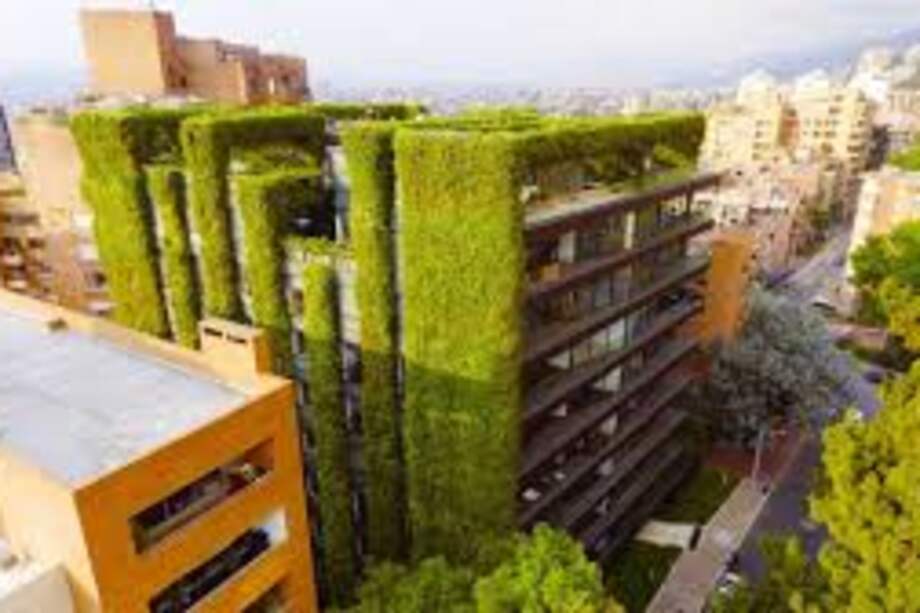 La falta de espacios verdes en las grandes ciudades acarrea problemas relacionados con la pérdida de biodiversidad y de oportunidades para la captura y almacenamiento de material particulado y CO2.