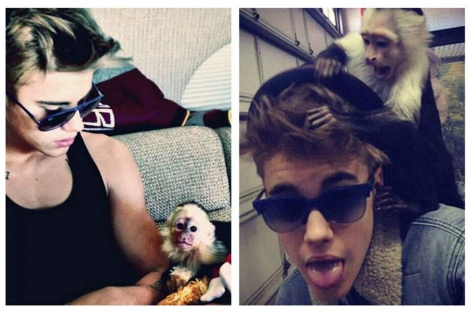 Justin Bieber paga la multa por abandonar a su mono en Alemania