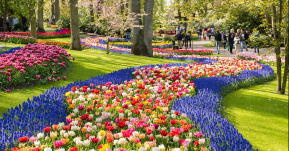 Keukenhof, el jardín de flores más grande y bello del mundo 