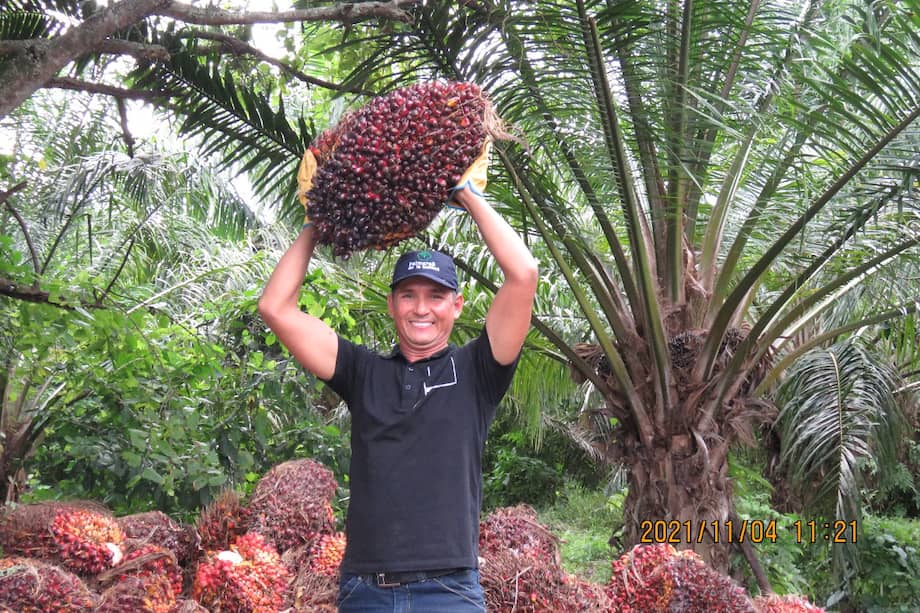 La meta básicamente es vincular a los productores de pequeña escala a mercados de aceite de palma sostenible, con el propósito de generar una inclusión efectiva que redunde en bienestar y paz en las zonas rurales.