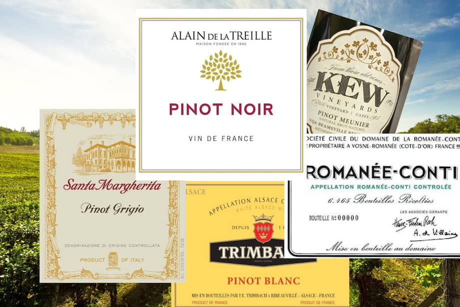 En su mejor punto, un Pinot Noir sobresale por su elegancia, taninos moderados, manifestaciones a frutos rojos frescos y, en ocasiones, recuerdos a tierra húmeda.