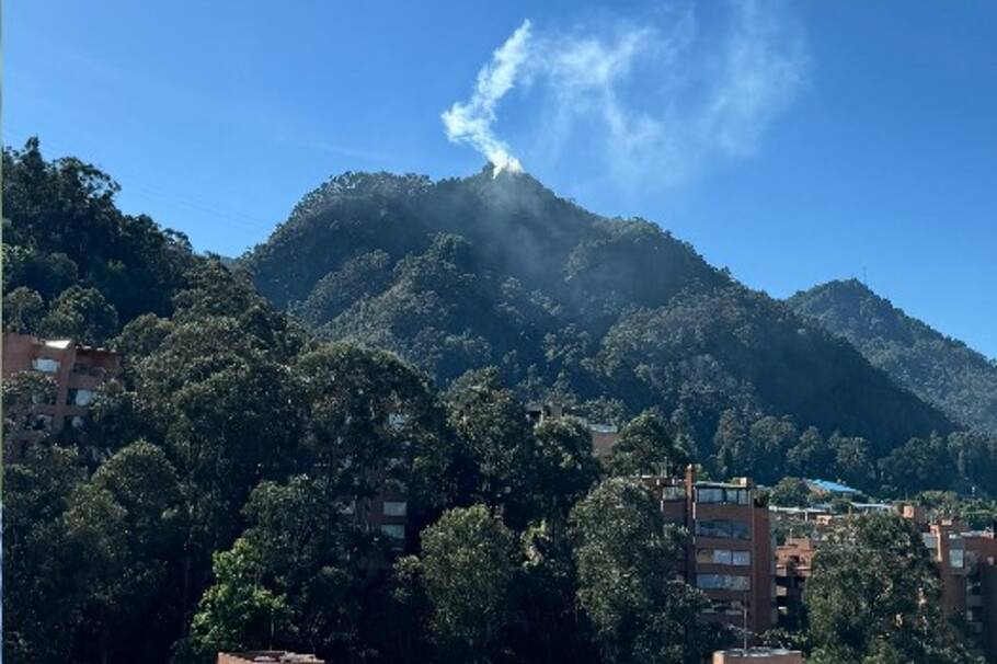 Autoridades confirmaron incendio forestal en inmediaciones de la Av. Circunvalar con calle 66. Bomberos se encuentran en la zona.