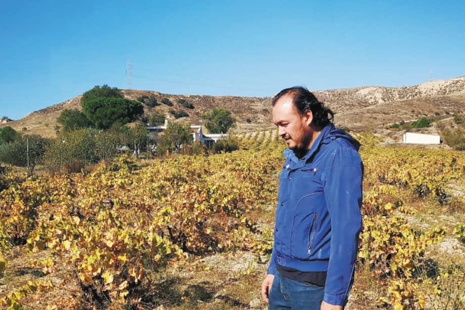 “Mi niñez fue entre vacas y cafetos, la juventud entre aviones y la madurez entre las viñas. Ahora estoy de vuelta al campo”: Carlos Reina. / Fotos de Juan Carlos Rincón