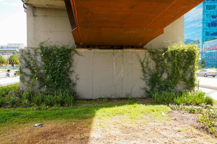 Proyecto de jardinería urbana