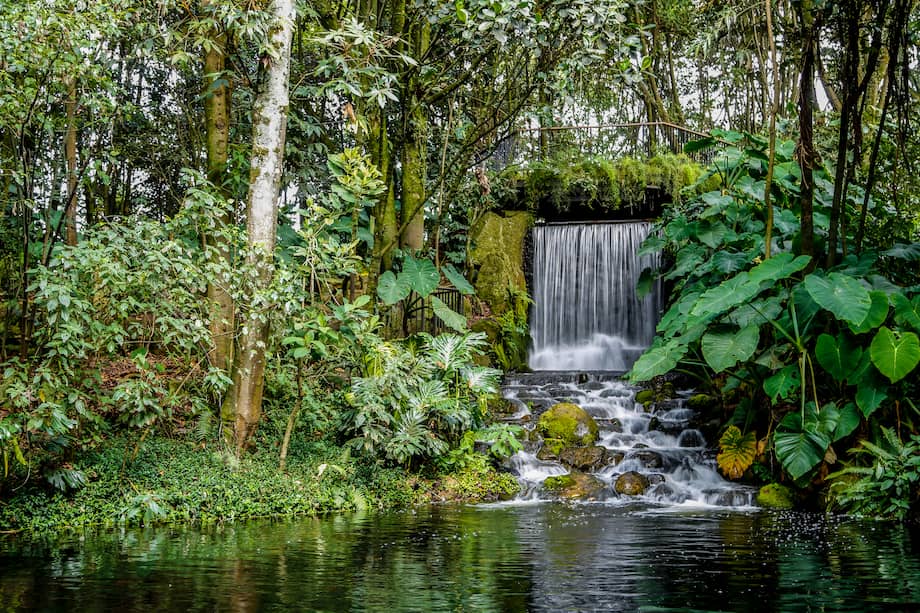 Con cerca de 20 hectáreas, el Jardín Botánico José Celestino Mutis es el principal refugio de biodiversidad de Bogotá.