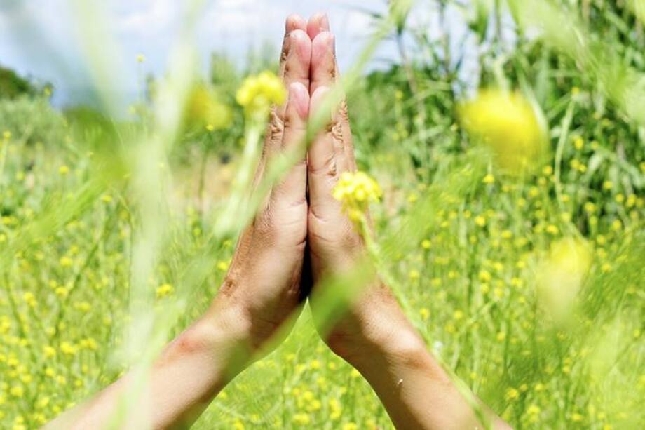 Cuatro claves para vivir en plenitud