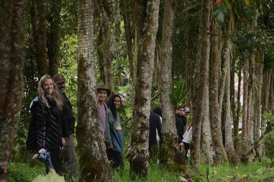 La entidad nació en el año 2012 con el objetivo de preservar las especies de plantas que se estaban extinguiendo en el alto Putumayo. Hoy, doce años después, su director confiesa que no ha sido fácil, pero lo han logrado.