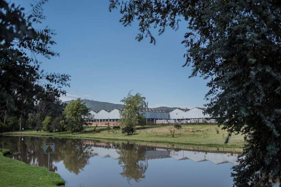 La zona ambiental tiene una distancia de 9 kilómetros de largo.