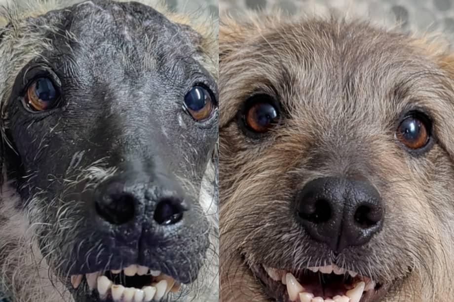 La reconstrucción con IA permite imaginar a Candelario sin las huellas de la violencia que sufrió.