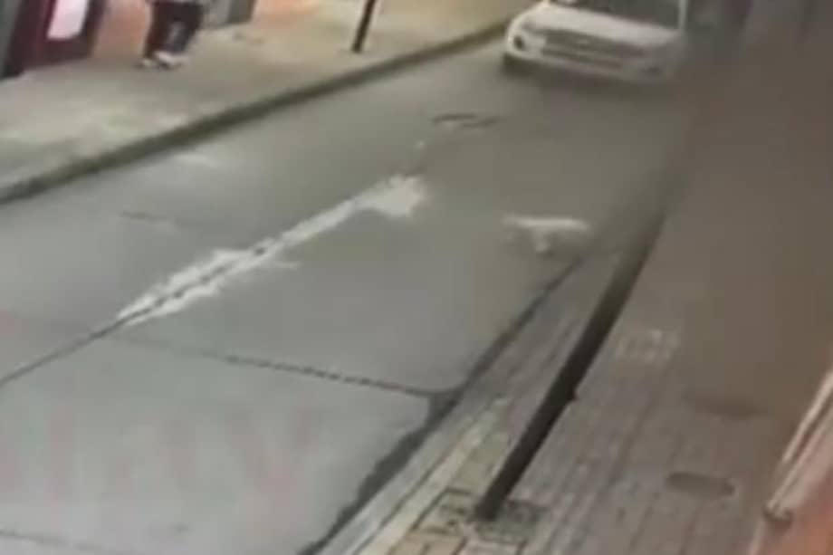 El conductor del carro pasó por encima del animal y no se detuvo para auxiliarlo.