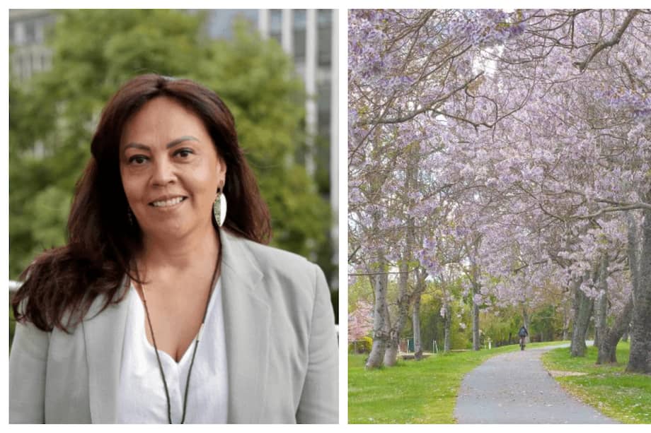 Adriana Rivera Brusatin, directora de Bosques, Biodiversidad y Servicios Ecosistémicos del Ministerio de Ambiente. A la derecha, un pequeño bosque de Paulownia Tomentosa.