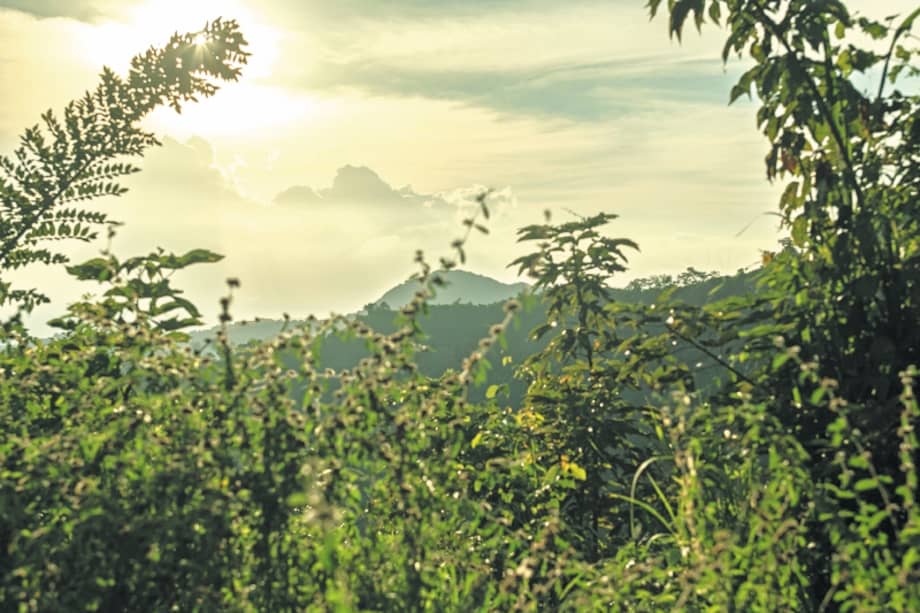 De víctimas a emprendedores