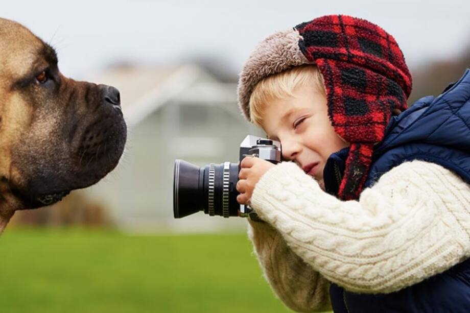 Diez pasos para tomar una foto perfecta