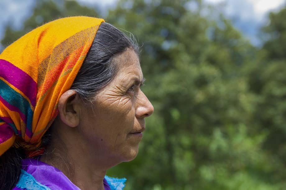 Entre los 38 indígenas, hay siete menores de edad.