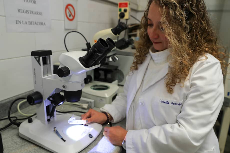 Imagen de referencia. La convocatoria busca formar en posgrados a profesionales de las áreas STEM.