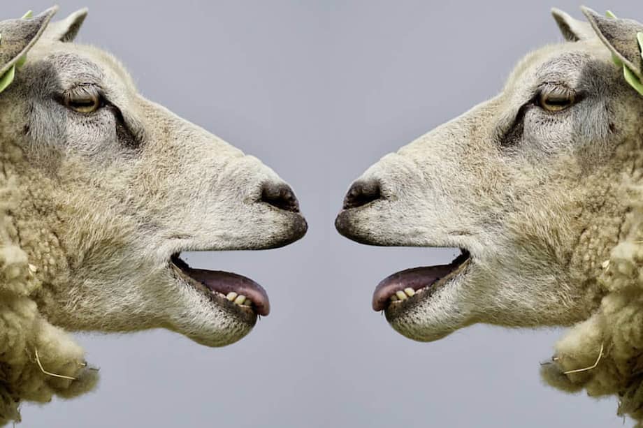 Imagen de referencia. / Pixabay