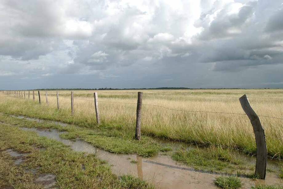 La ley 160 de 1994 prohíbe taxativamente la acumulación de terrenos baldíos. / Archivo- El Espectador