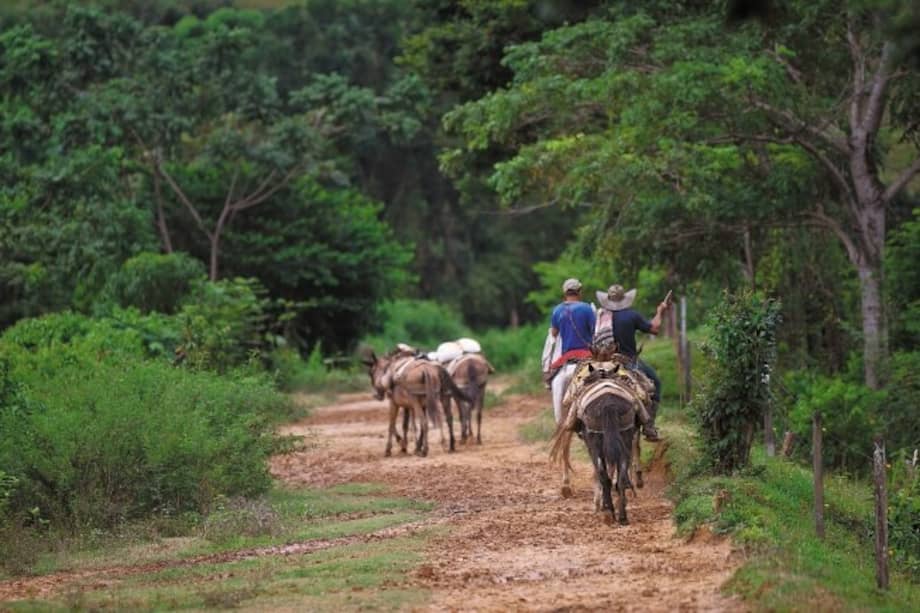 Tanto los jueces como la Procuraduría refutaron el manto de duda que puso Incarare sobre la barbarie que azotó al Magdalena Medio por décadas /Archivo.